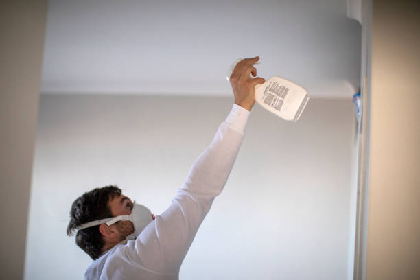 Best Mold Removal Specialists  in Parks, AZ
