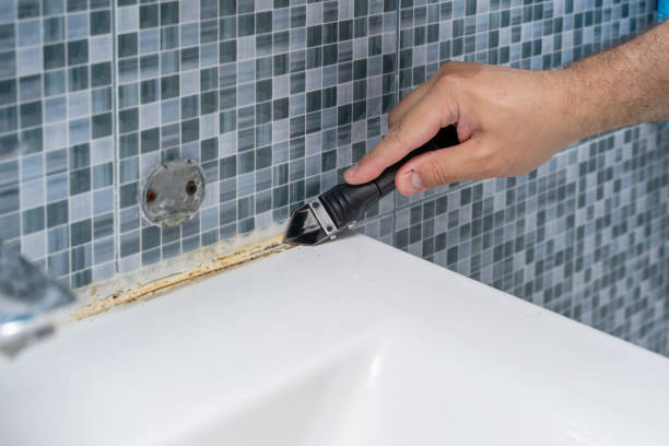 Best Mold Remediation  in Parks, AZ