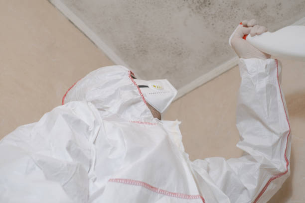 Office Mold Removal Services in Parks, AZ