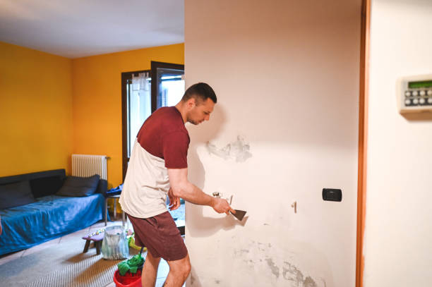 Best Certified Mold Removal  in Parks, AZ
